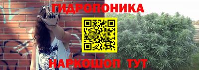 дживик Шебекино