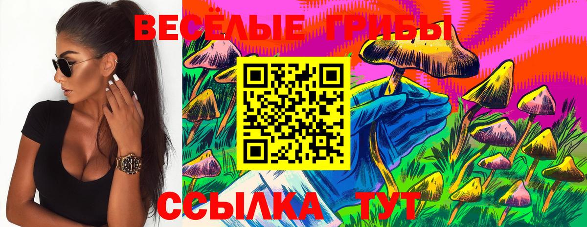 Галлюциногенные грибы Psilocybine cubensis Богородск